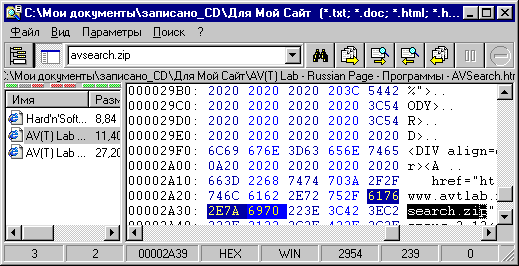 Результаты поиска программой AVSearch предстасленные в шестнадцетиричном коде